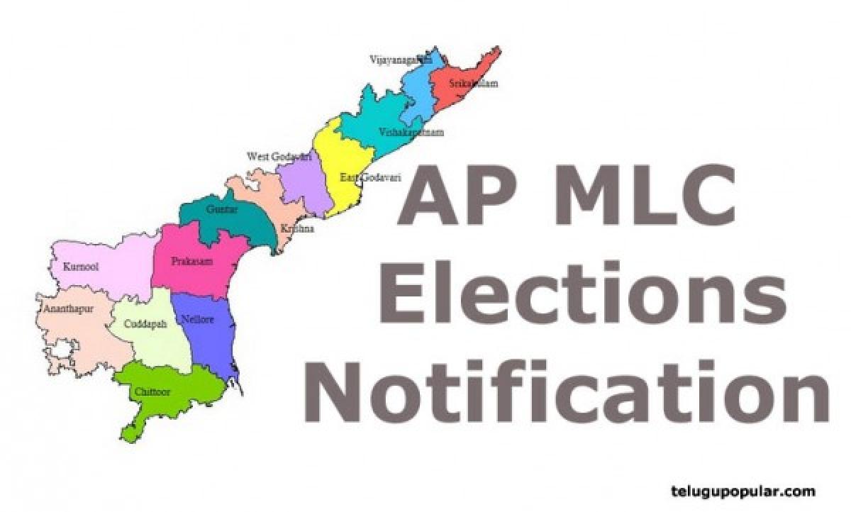 MLC elections notified
